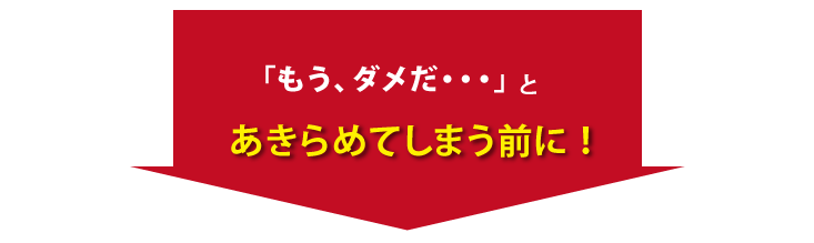 「もう、ダメだ…とあきらめてしまう前に！」